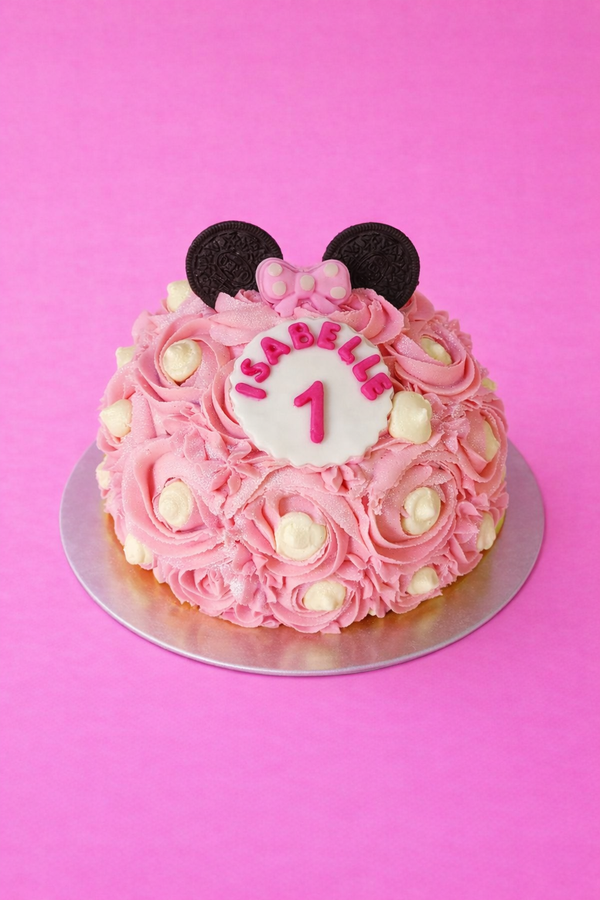 Gâteau Dôme Minnie / Mickey Mouse / Reine des Neiges