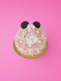 Gâteau Dôme Minnie / Mickey Mouse / Reine des Neiges