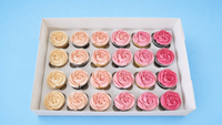 Palette 24 cupcakes
